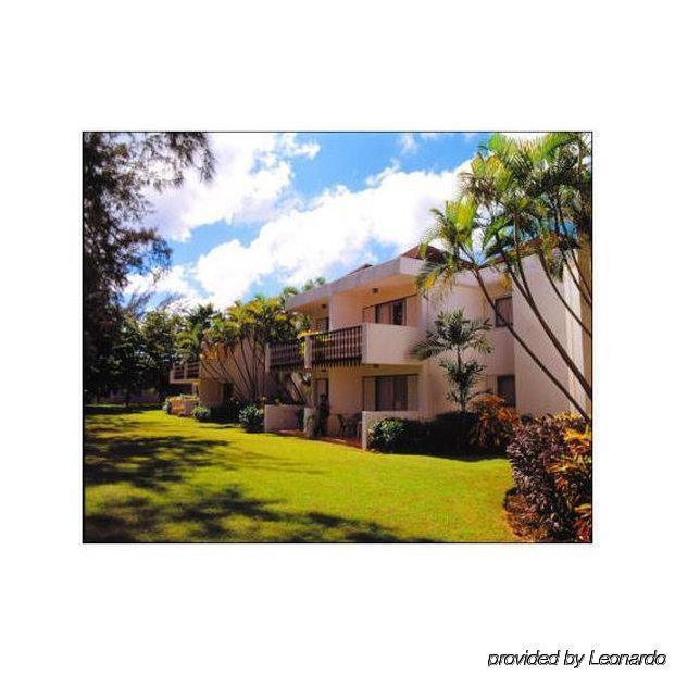 Plum Tree Club Apartment Christ Church Bagian luar foto