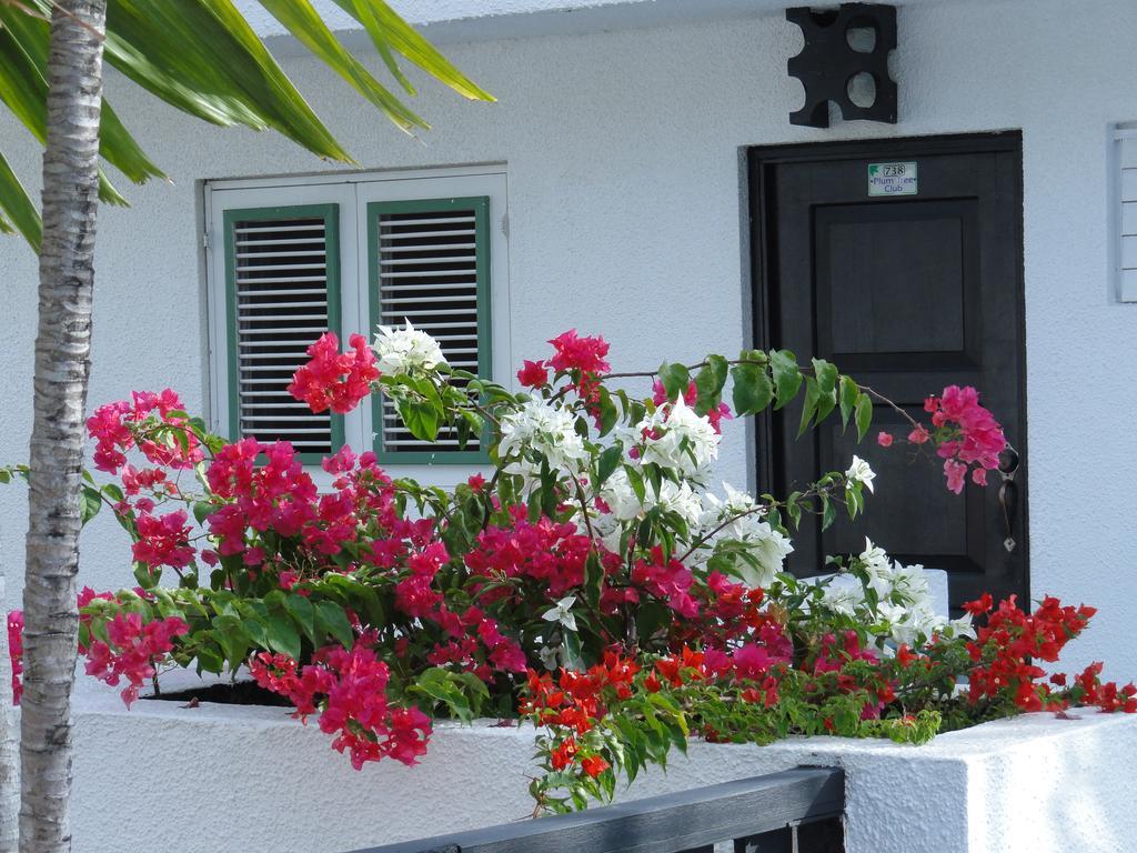 Plum Tree Club Apartment Christ Church Bagian luar foto