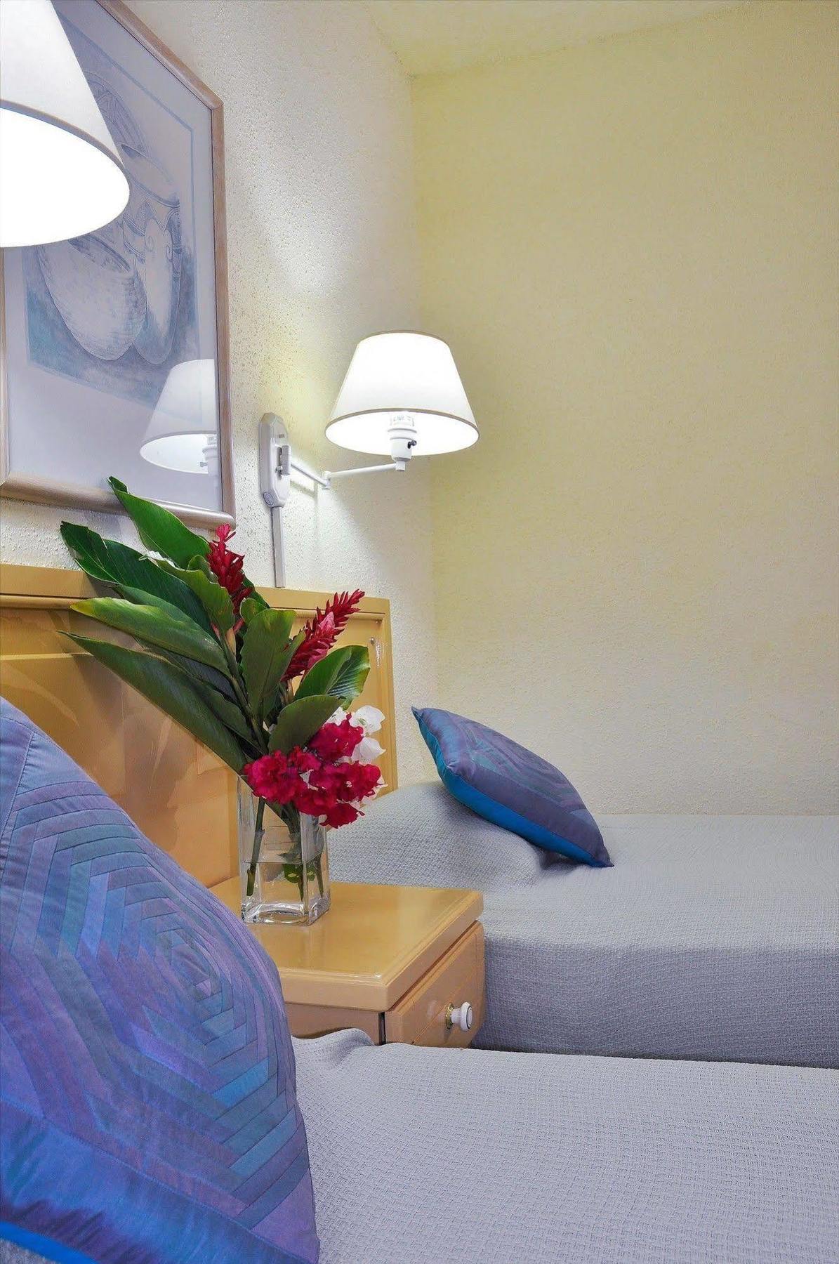 Plum Tree Club Apartment Christ Church Bagian luar foto