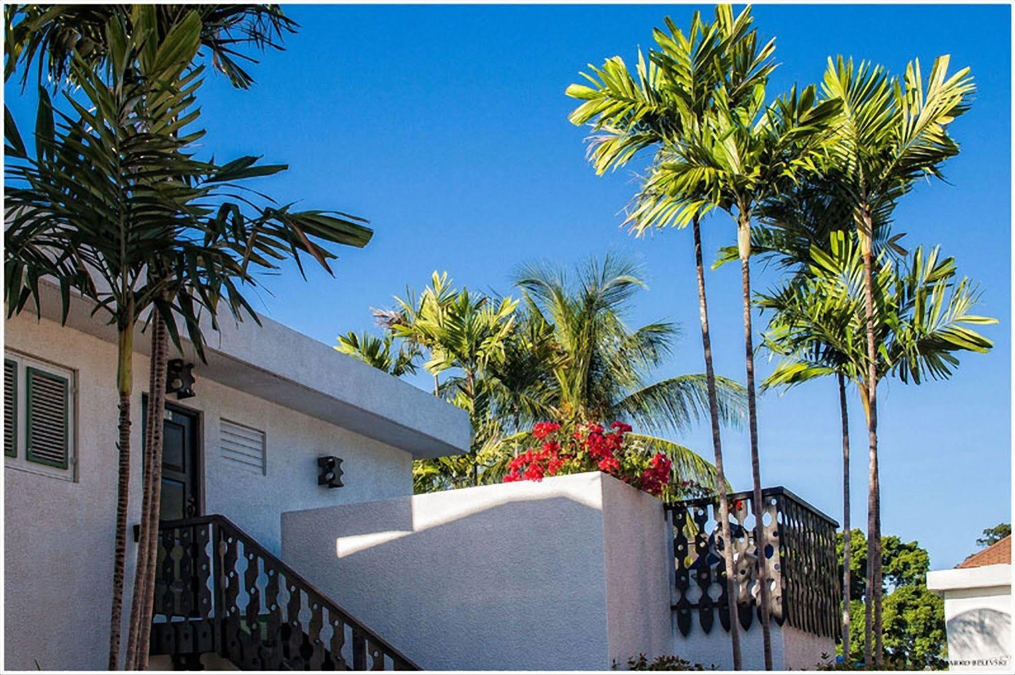 Plum Tree Club Apartment Christ Church Bagian luar foto